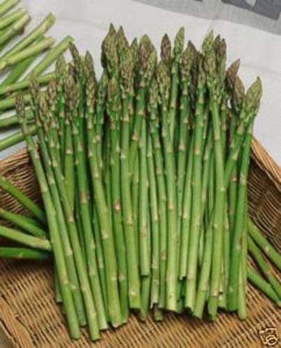 Asparagus – Standard (2.5 Doz) - alt 1