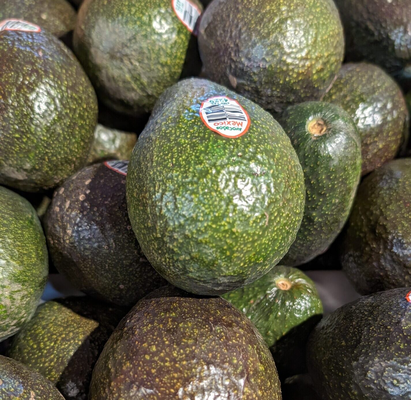 Avocados – 7 Ct Flat
