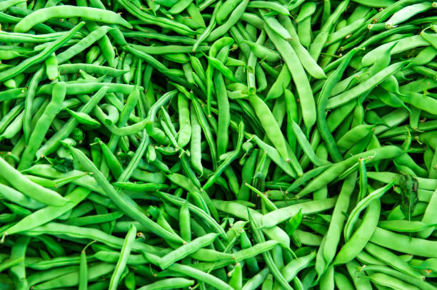 Green Beans – Regular