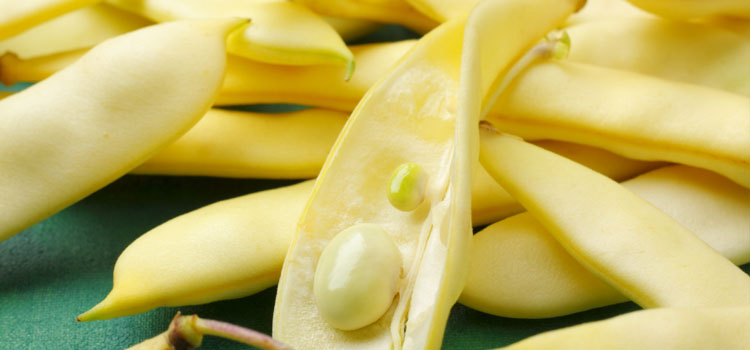 Wax Beans – Regular